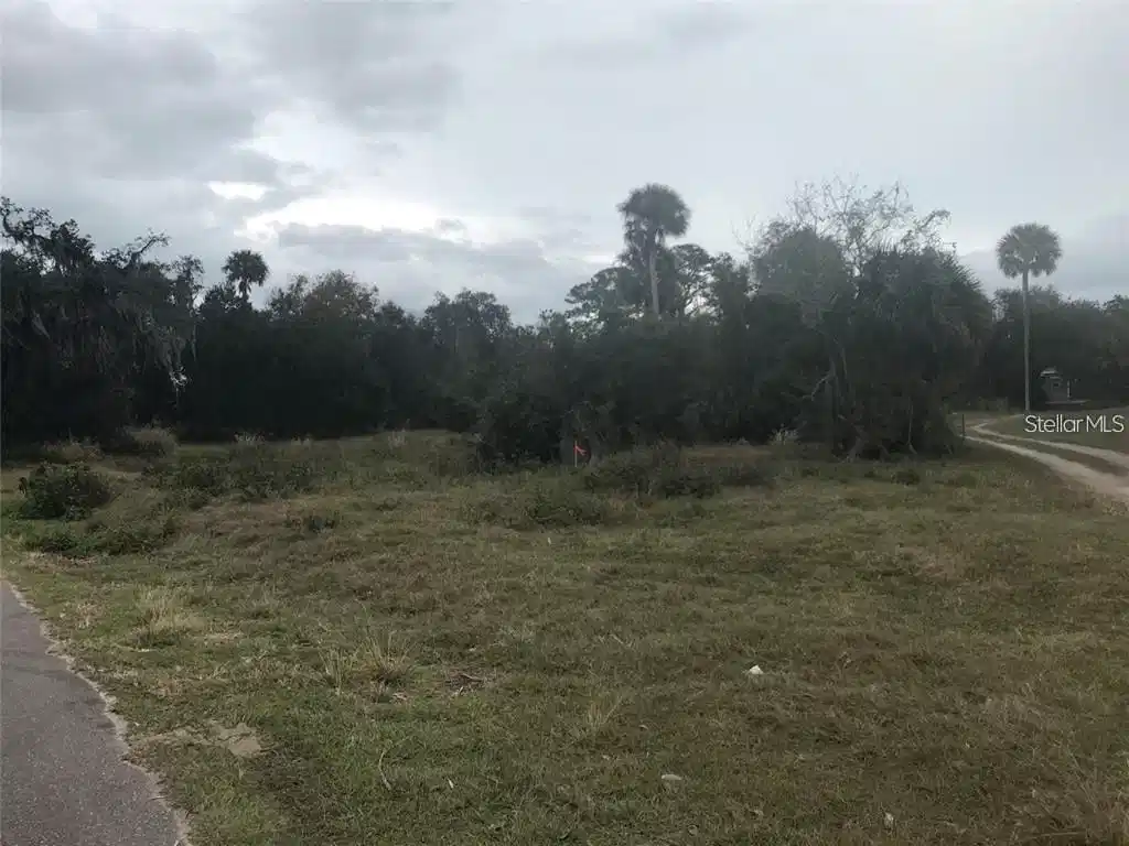 Image 1 Image 1