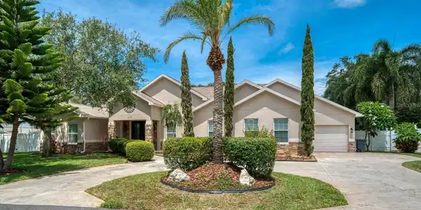110 LIVE OAK