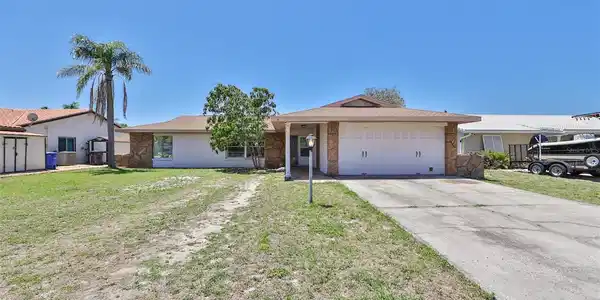 6508 SENEGAL PALM