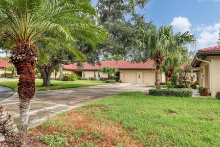 3773 SPANISH PINE