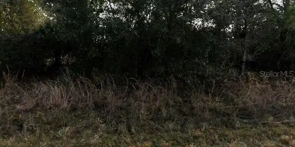 Image 2 Image 2