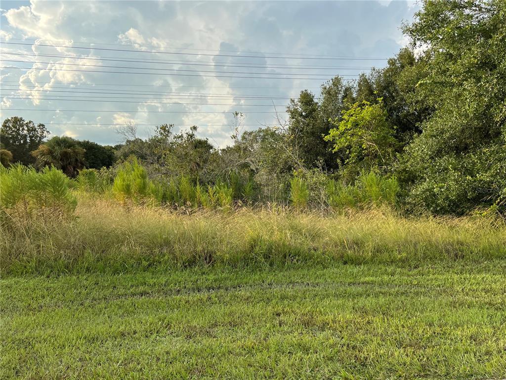 815 AVOCADO, PUNTA GORDA, FL lhrmls01327414