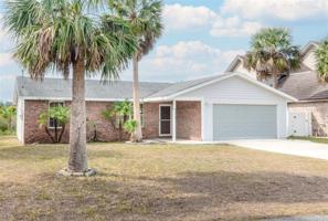 204 PALM