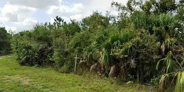 Image 3 Image 3