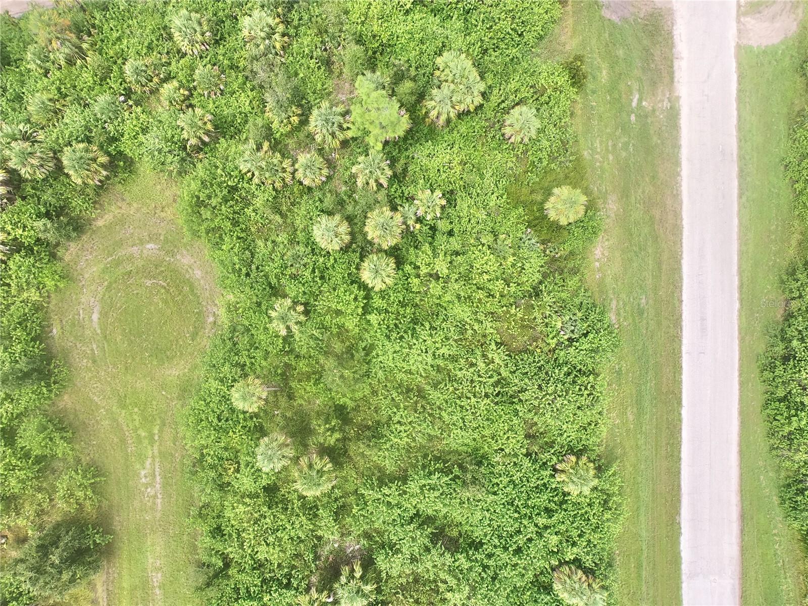Image 4 Image 4