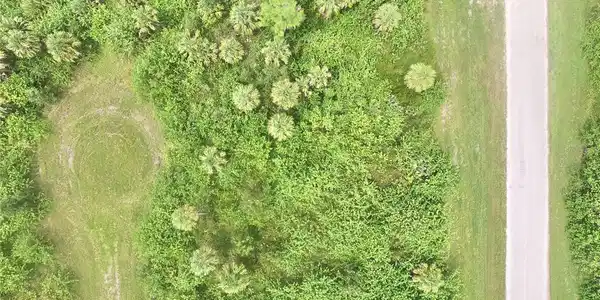 Image 4 Image 4