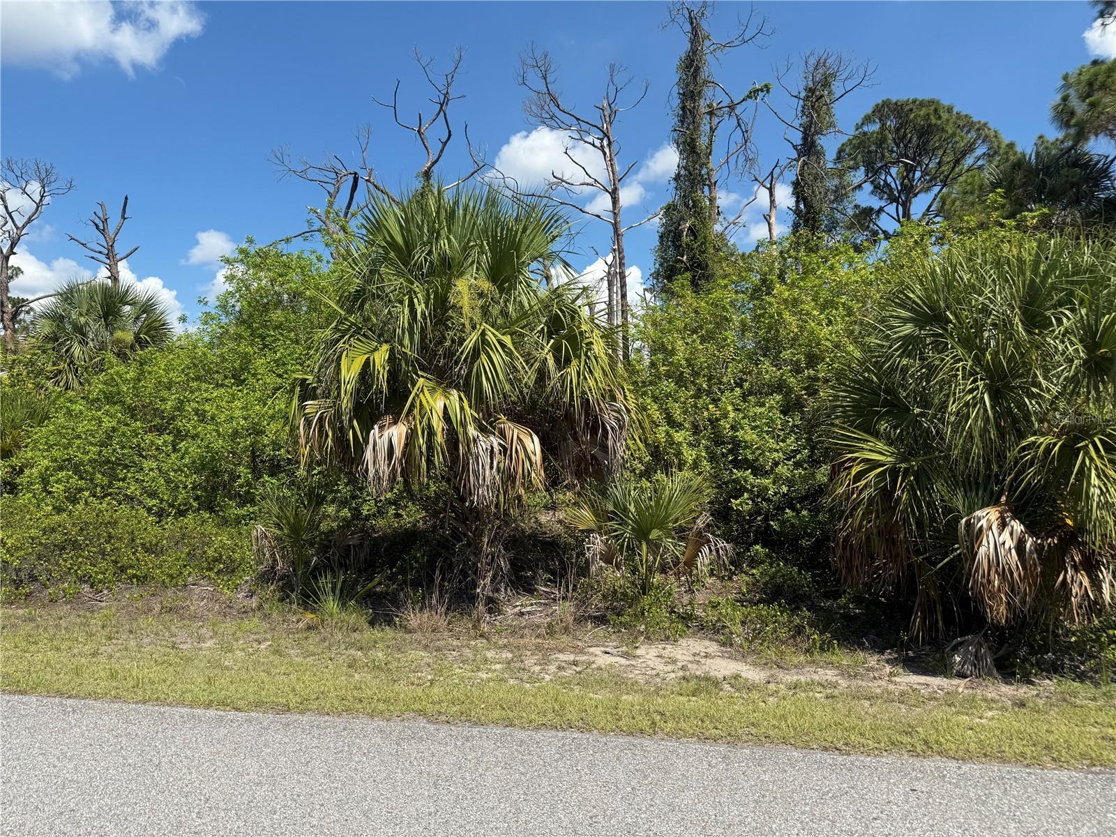 Image 1 Image 1