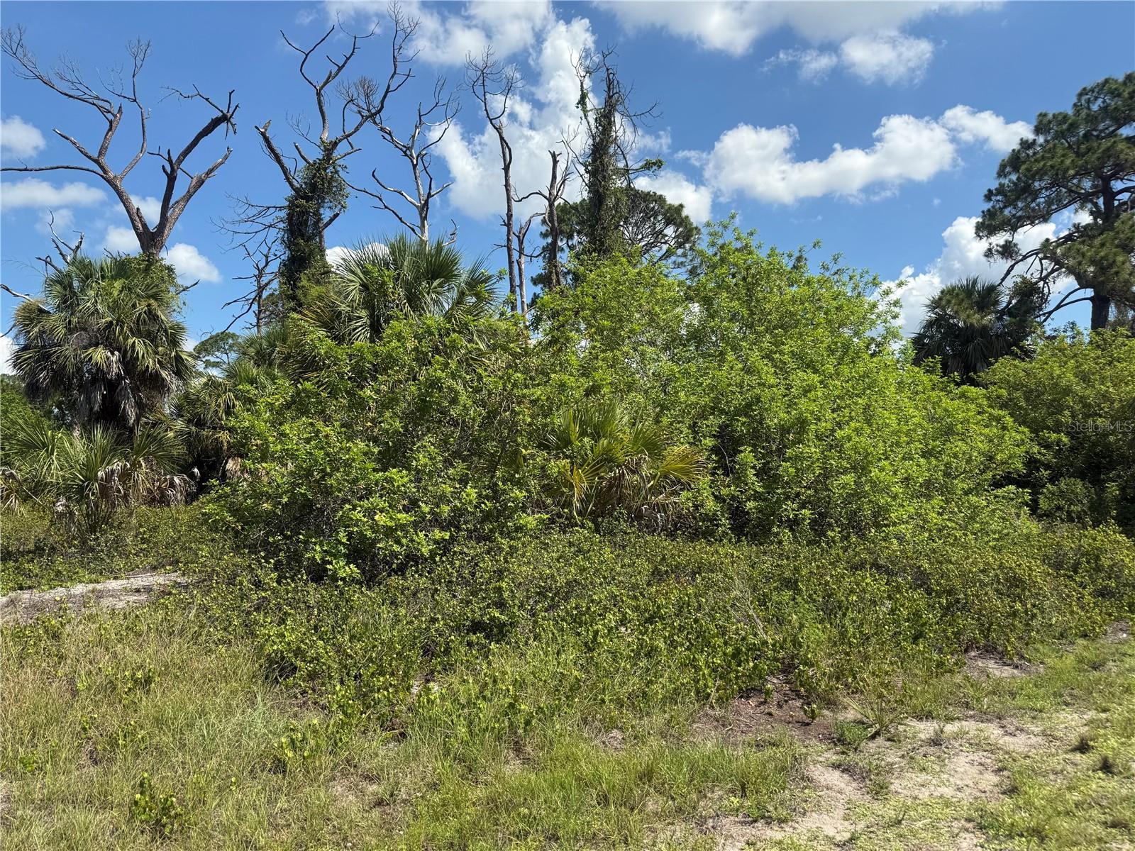 Image 3 Image 3