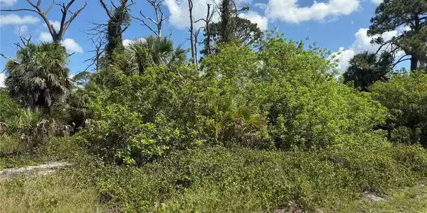 Image 3 Image 3