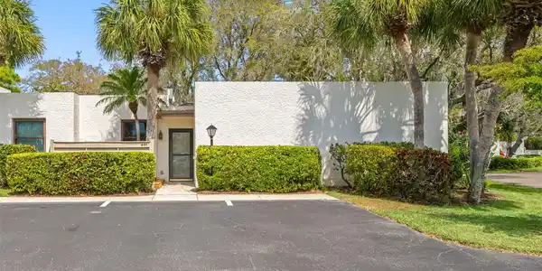 401 PALM TREE