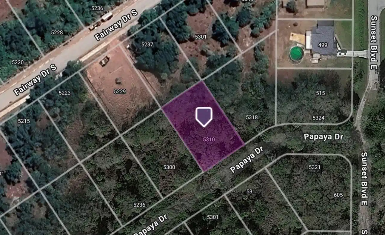 Image 1 Image 1