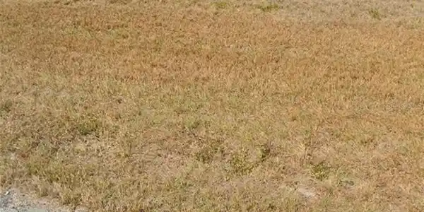 Image 3 Image 3