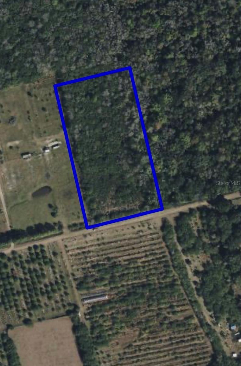 Image 3 Image 3
