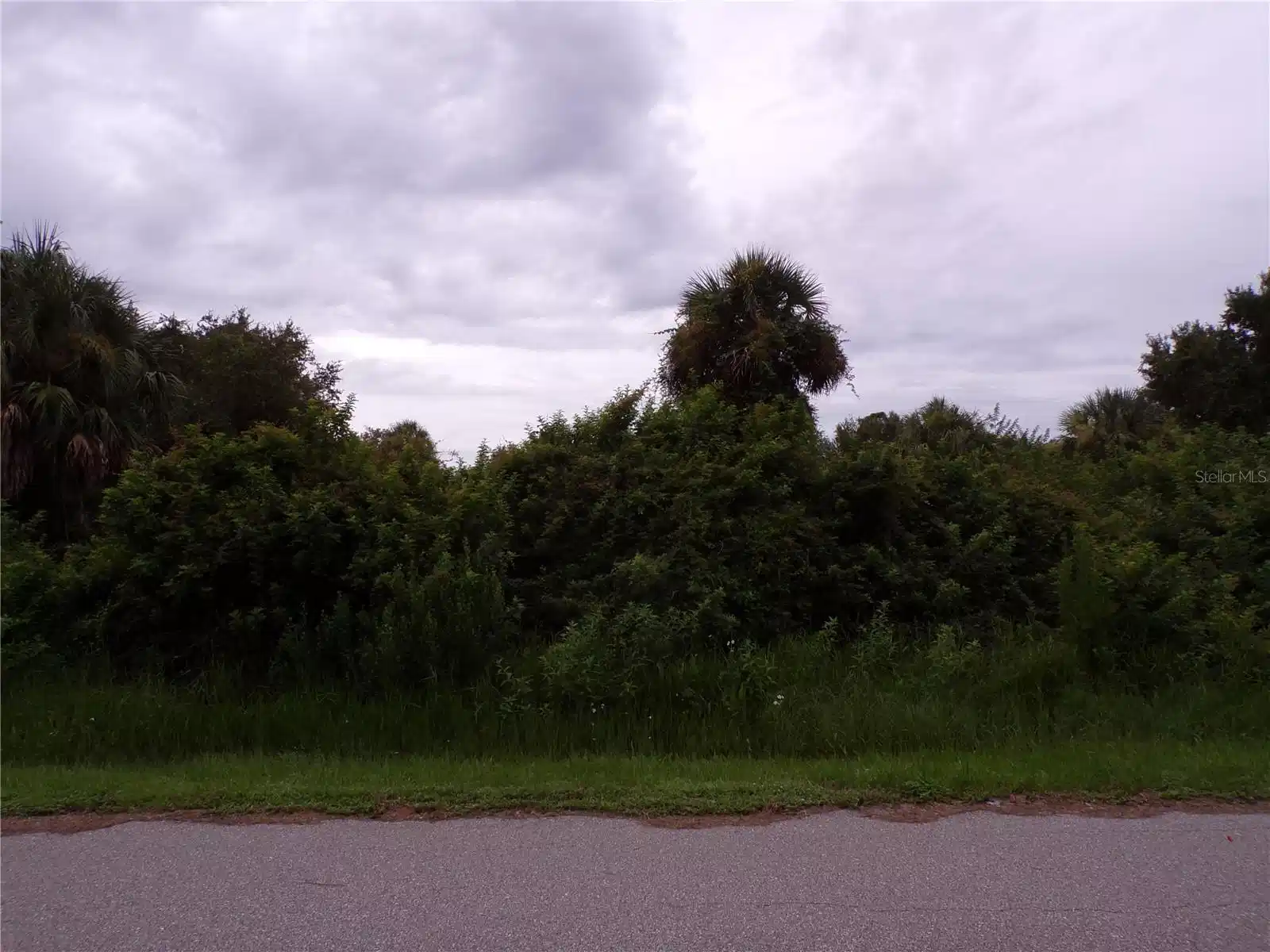 Image 1 Image 1