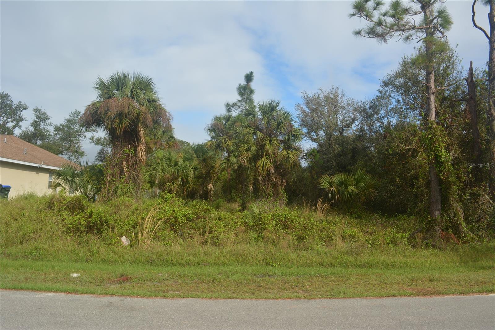 Image 1 Image 1