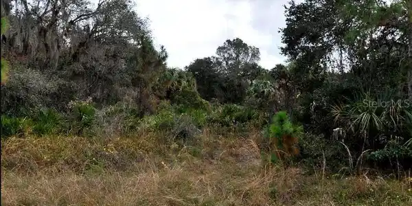 Image 2 Image 2