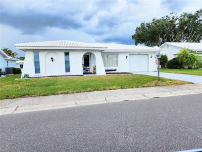 3906 CHINABERRY