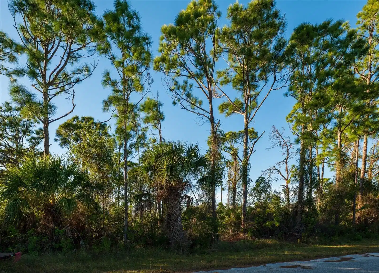 Image 1 Image 1