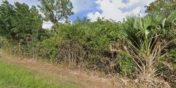 Image 3 Image 3