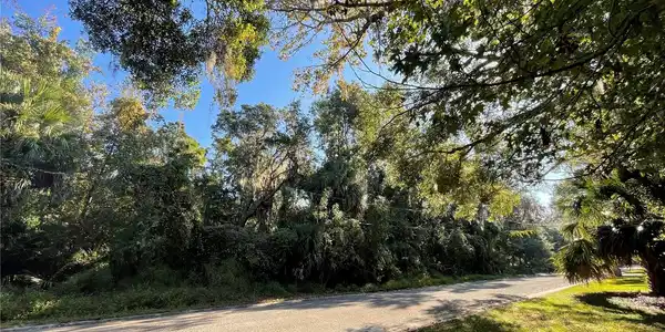 CREEK BLUFF RUN