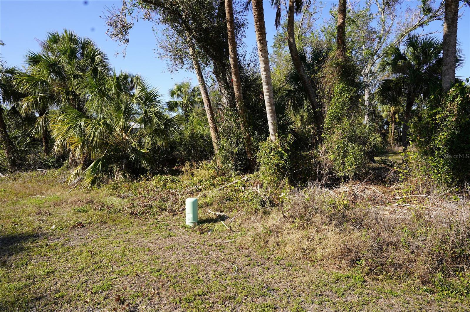 Image 3 Image 3