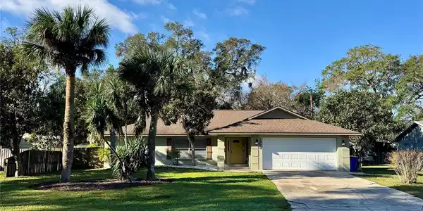 1924 TRAVELERS PALM DRIVE