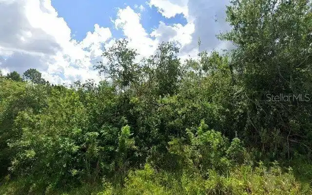 Image 1 Image 1
