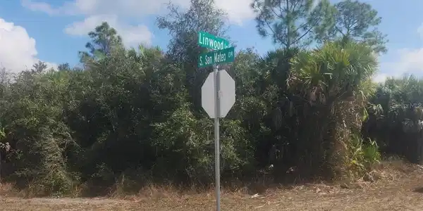 Image 3 Image 3