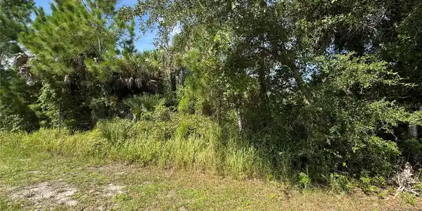 Image 4 Image 4
