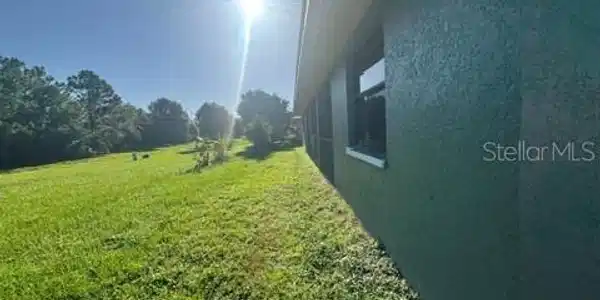 Image 4 Image 4