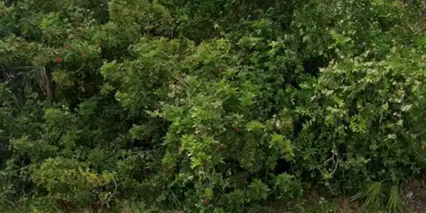 Image 2 Image 2