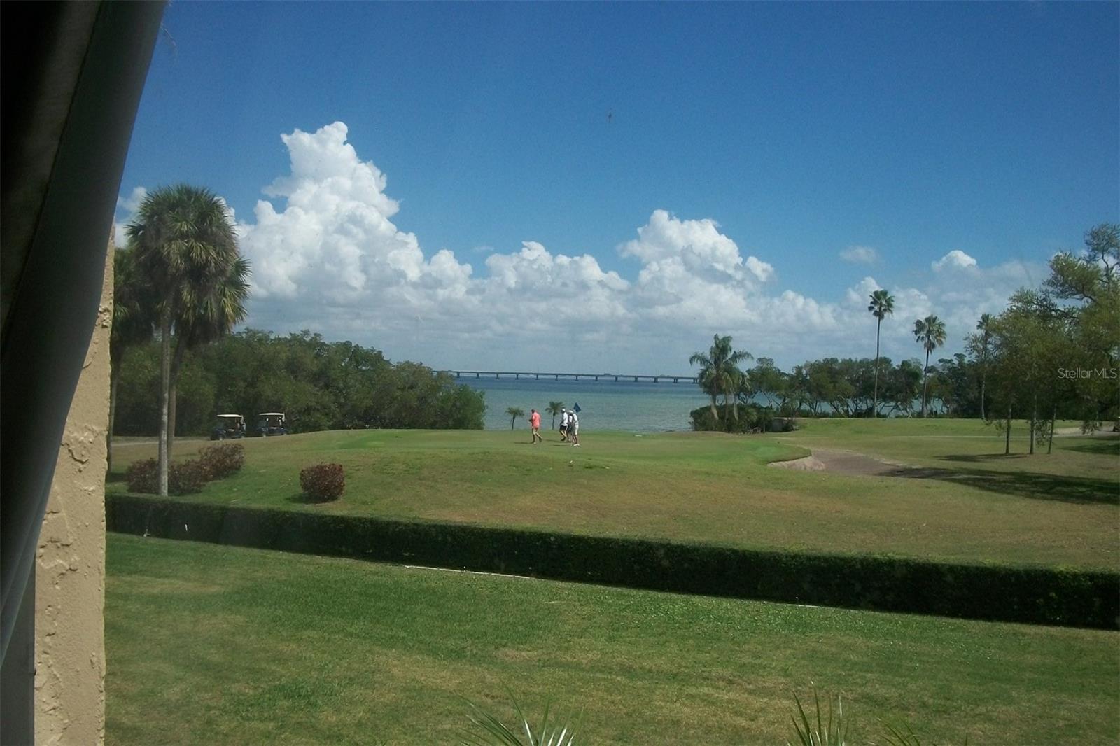 Image 4 Image 4