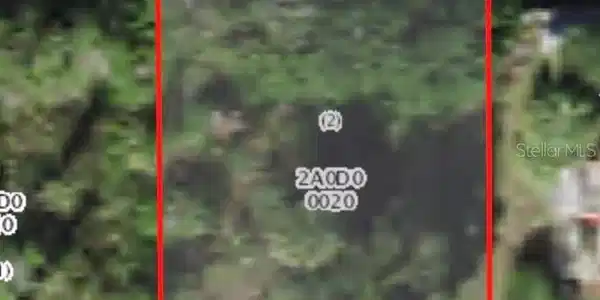 Image 3 Image 3