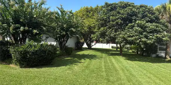 Image 4 Image 4