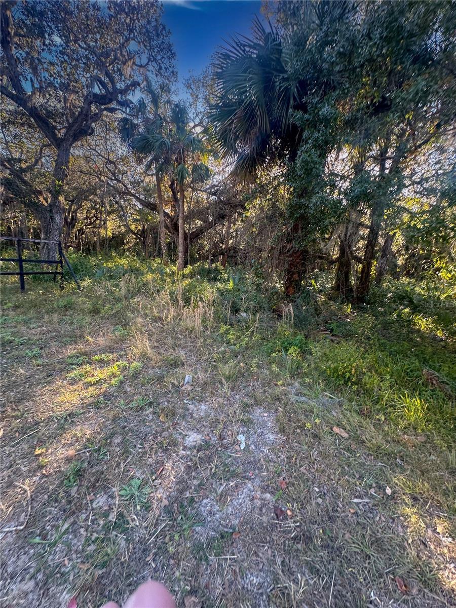 Image 4 Image 4