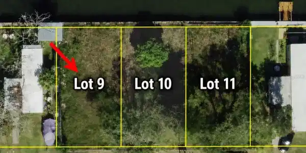 Lot 9 PUFFIN