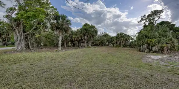 Image 4 Image 4