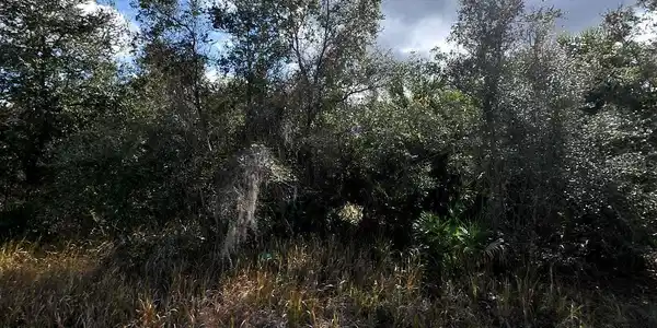 Image 2 Image 2