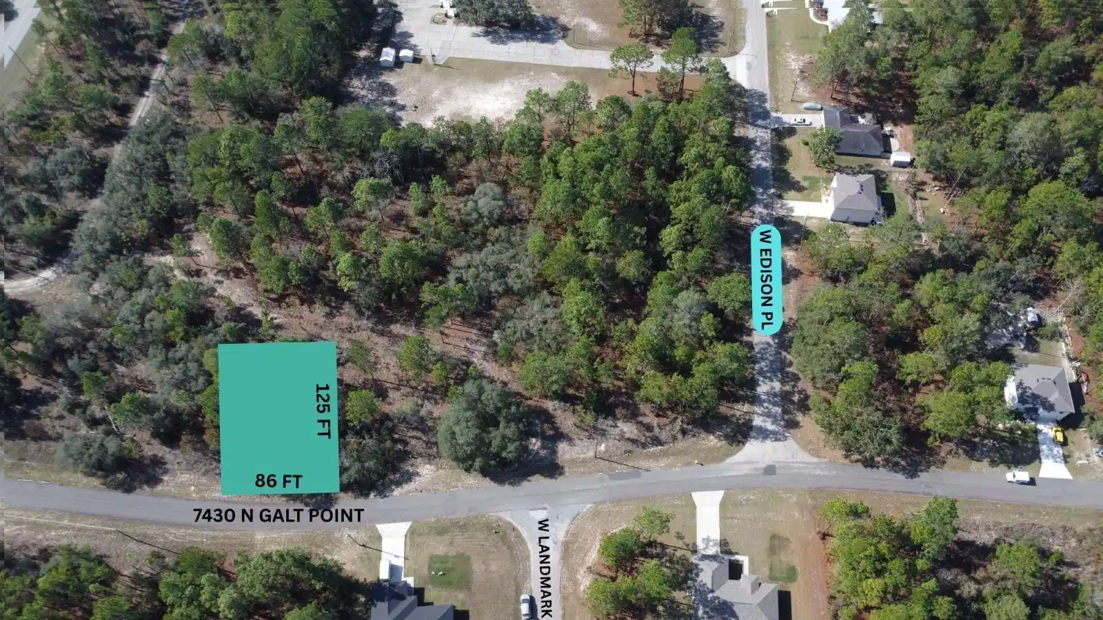 Image 1 Image 1