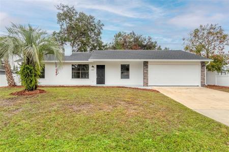 2425 UMBRELLA TREE DRIVE