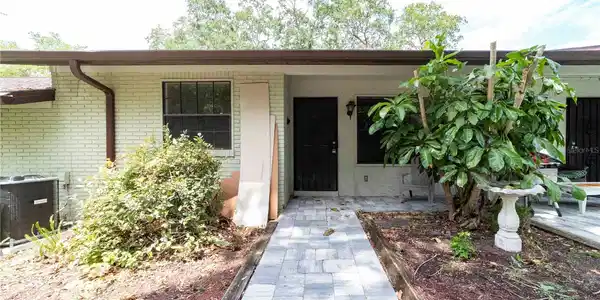 526 LIVE OAK