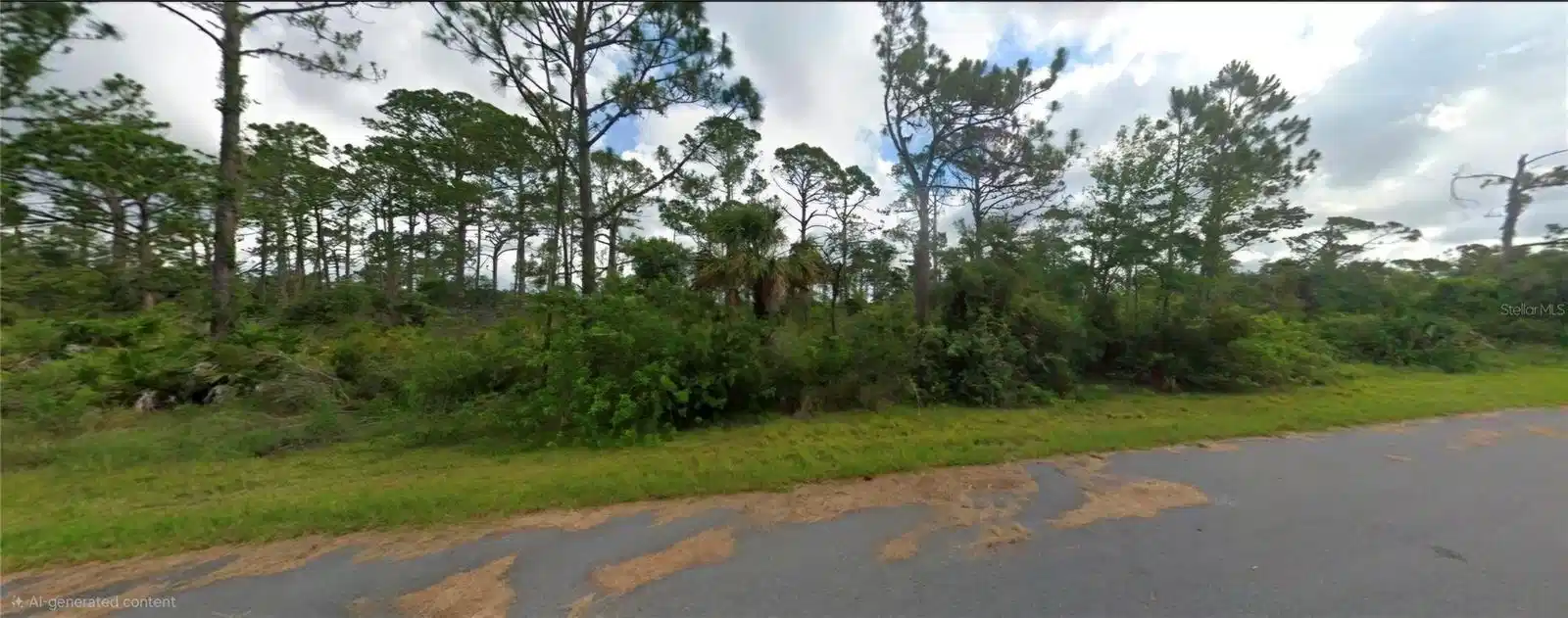 Image 1 Image 1