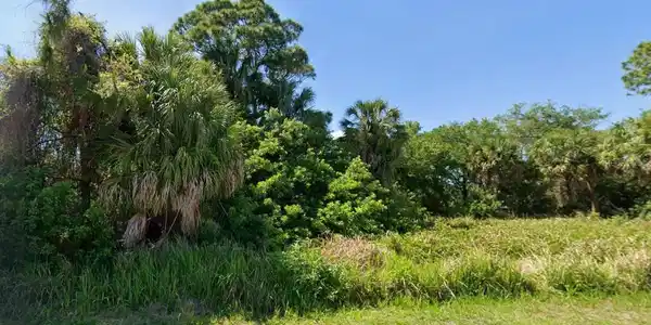 Lot 31 ELIAS CIRCLE
