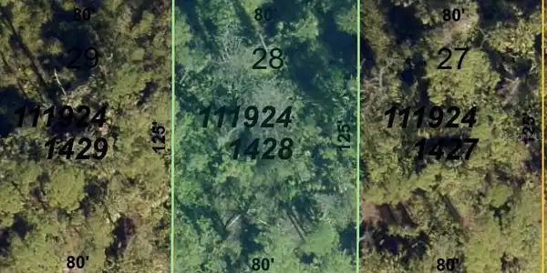 Image 2 Image 2