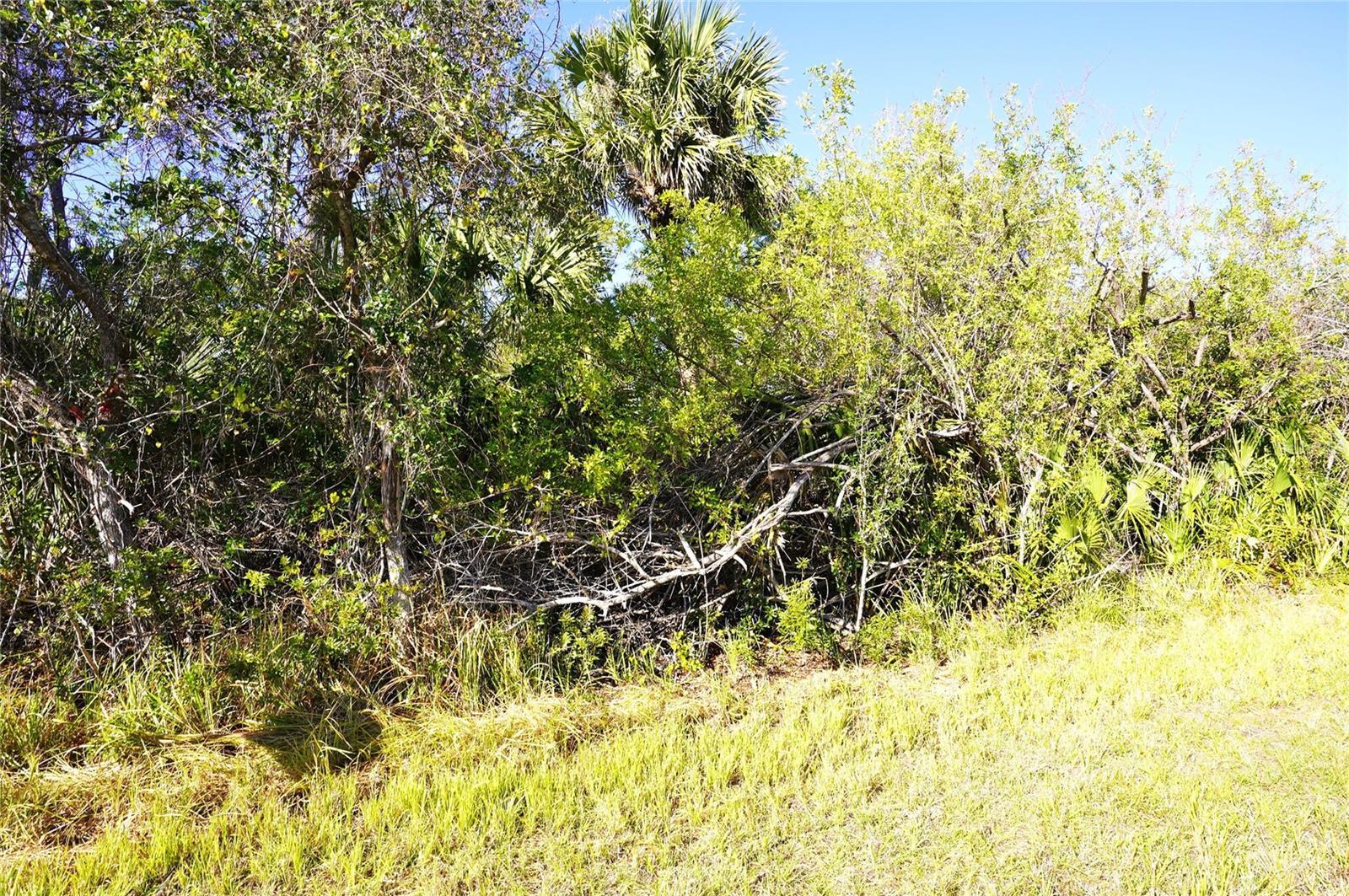 Image 3 Image 3