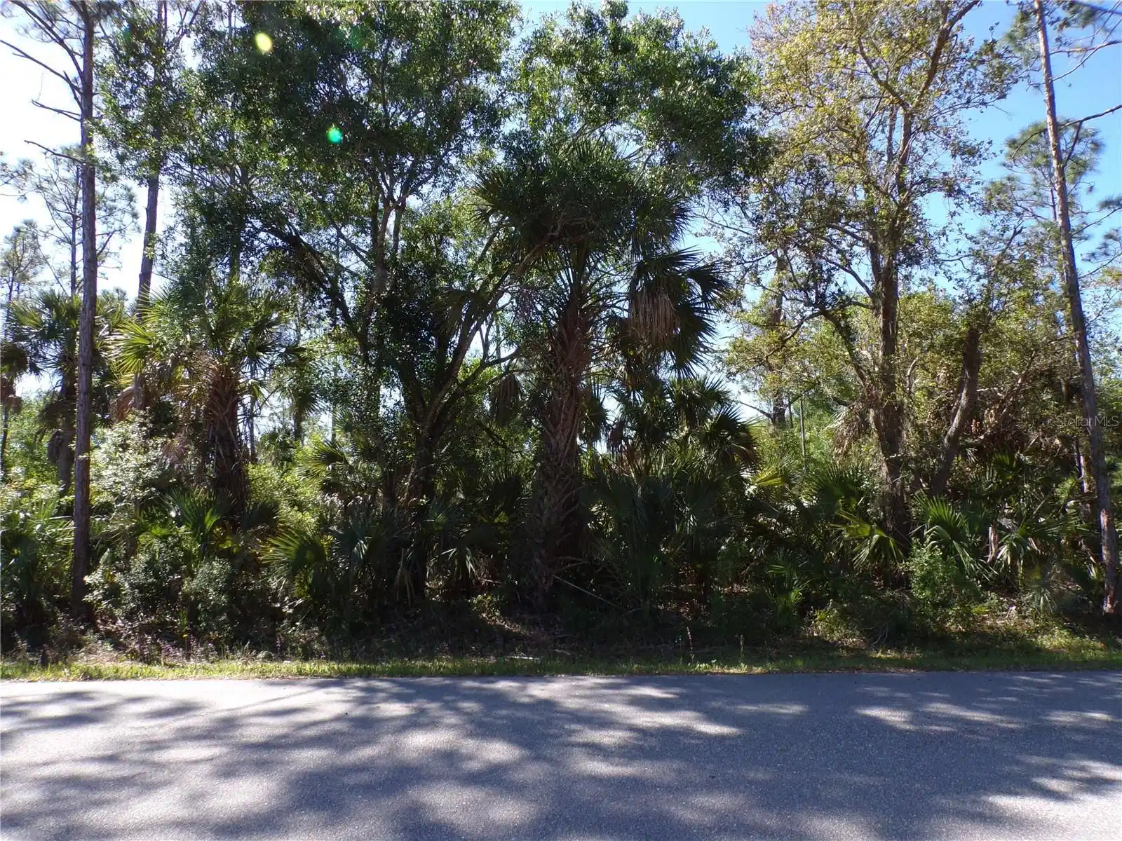 Image 1 Image 1