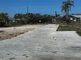 1462 IBIS