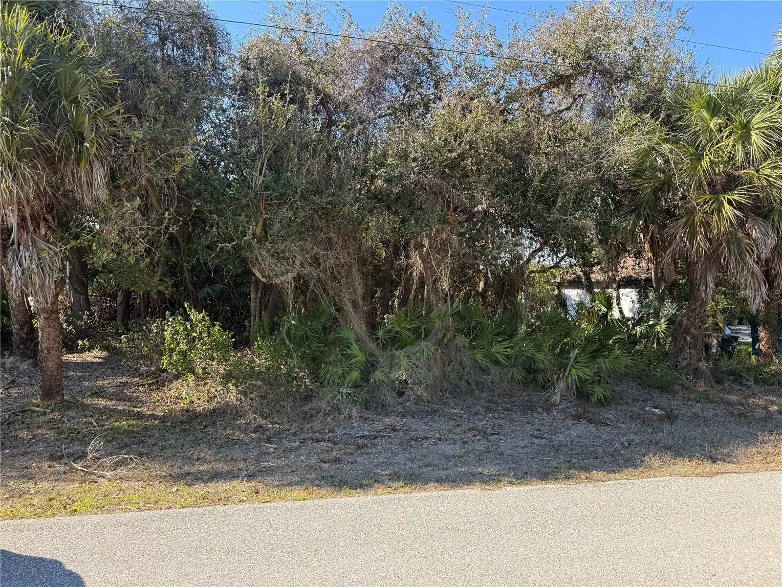 Image 1 Image 1