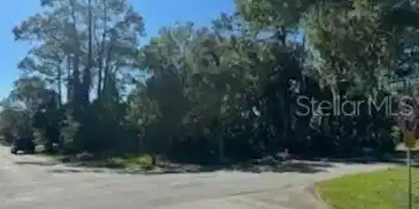QUEEN PALM DRIVE