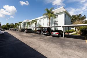 701 POINSETTIA